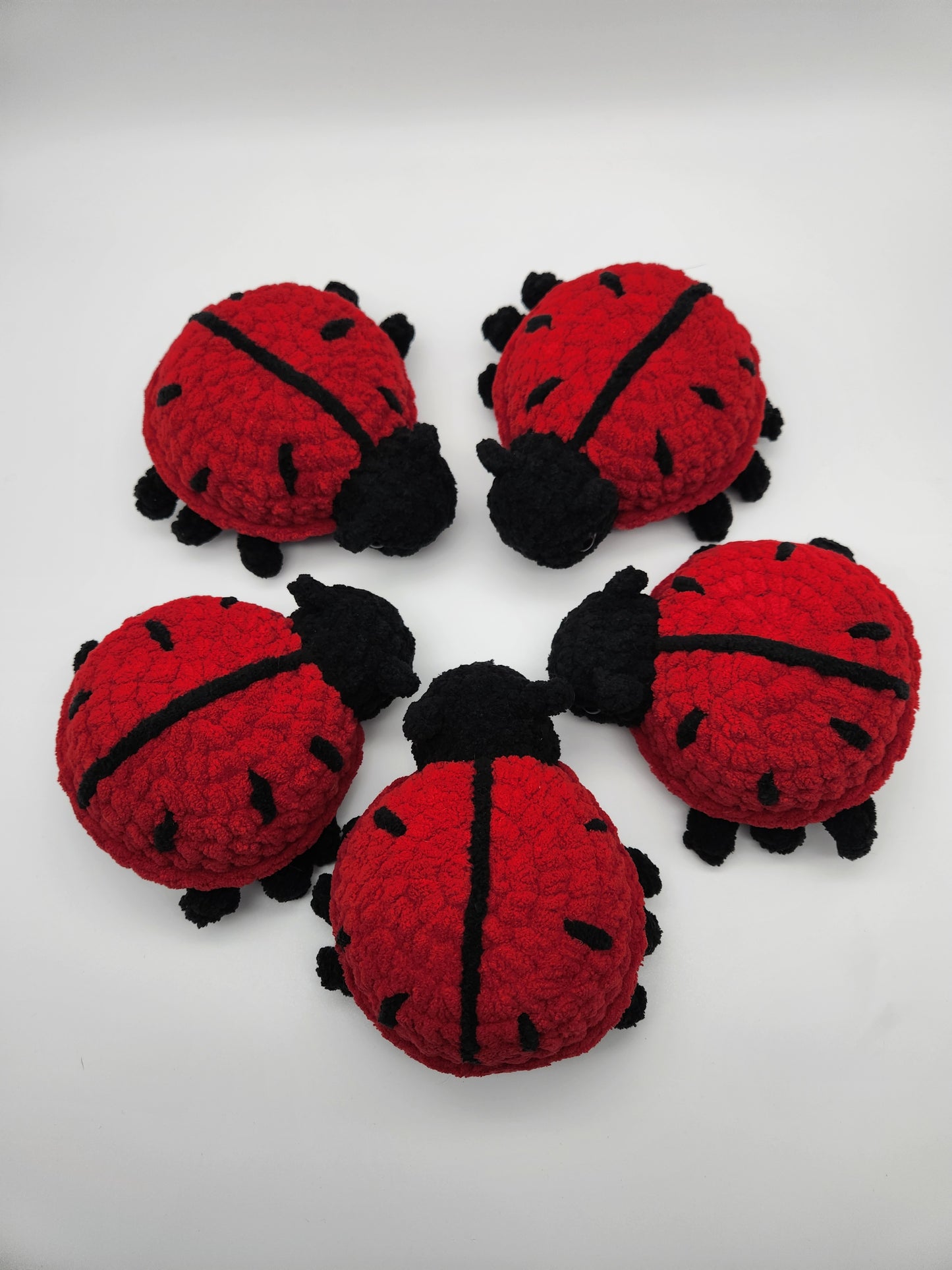 Ladybug