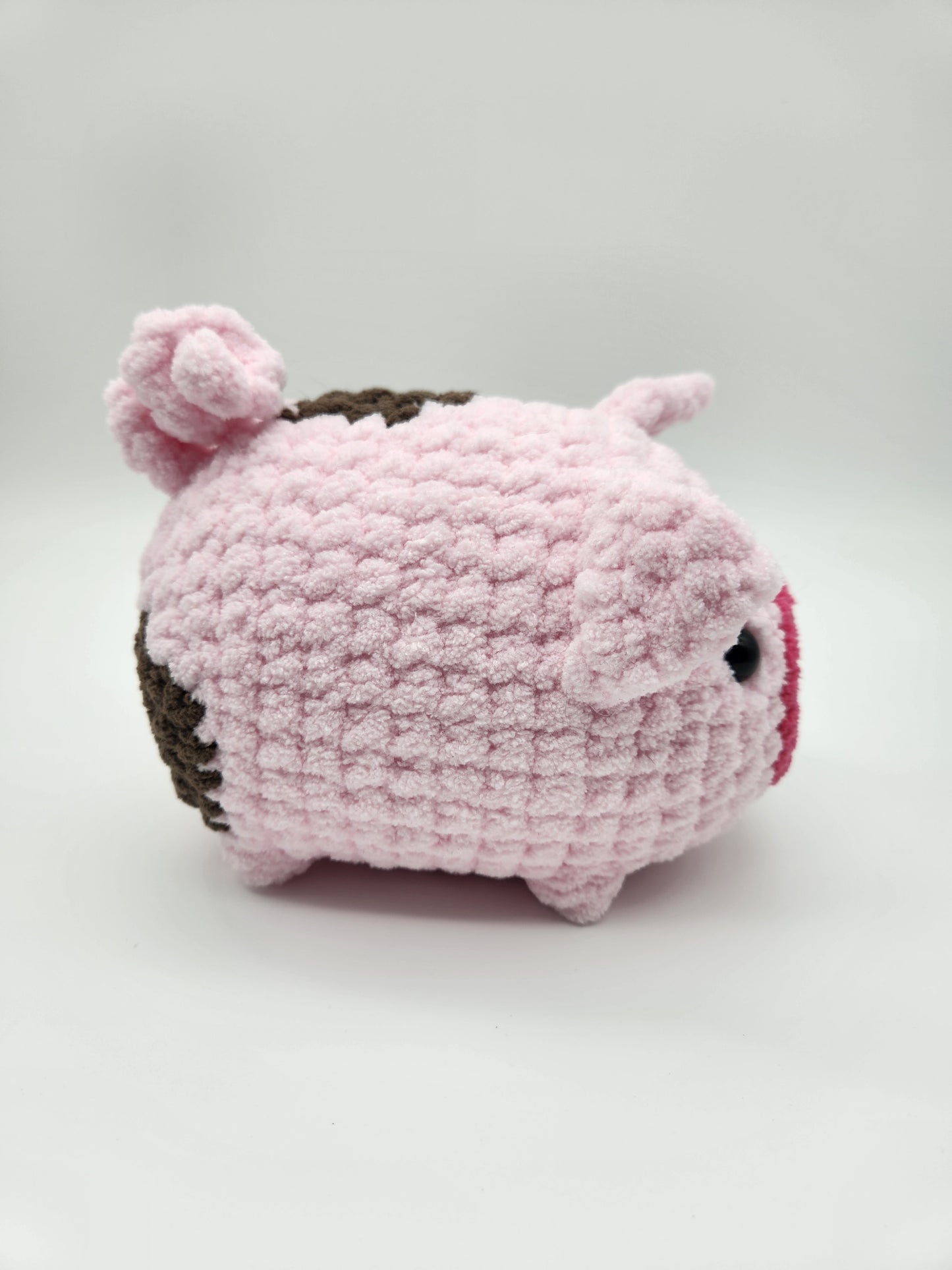 Pig
