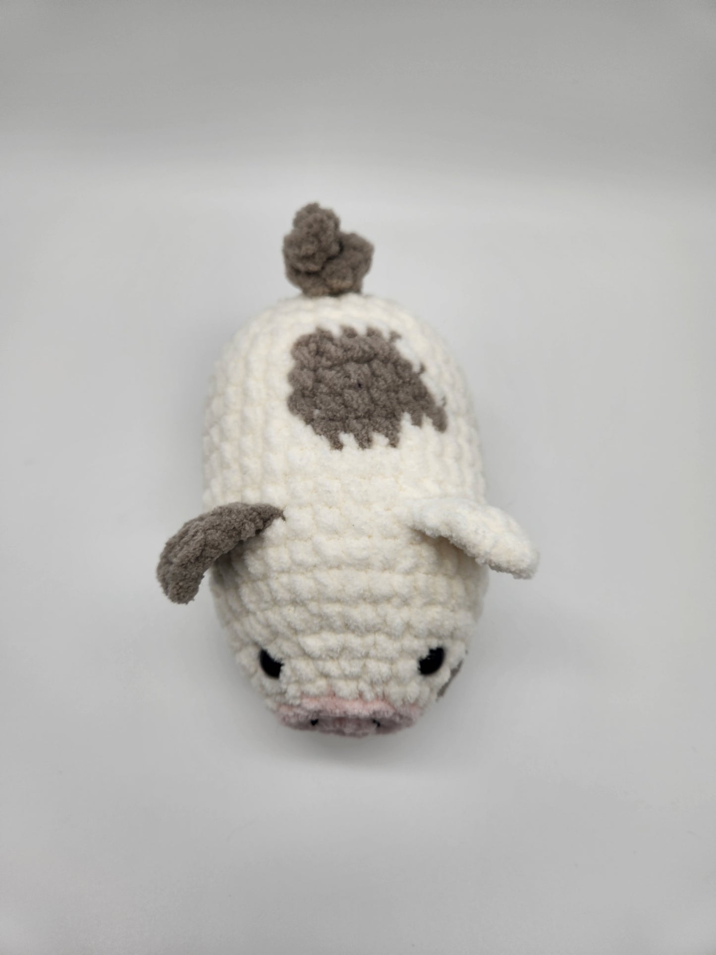 Pig