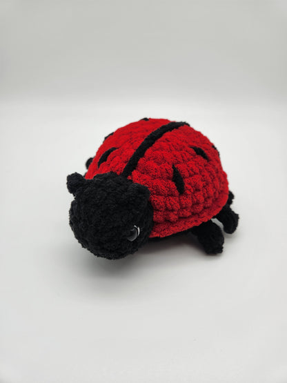 Ladybug