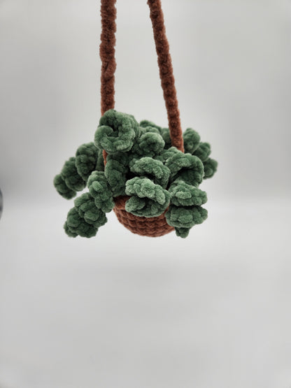 Swings